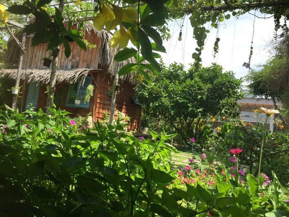 Bach Cuc Homestay Long Hai Exterior foto
