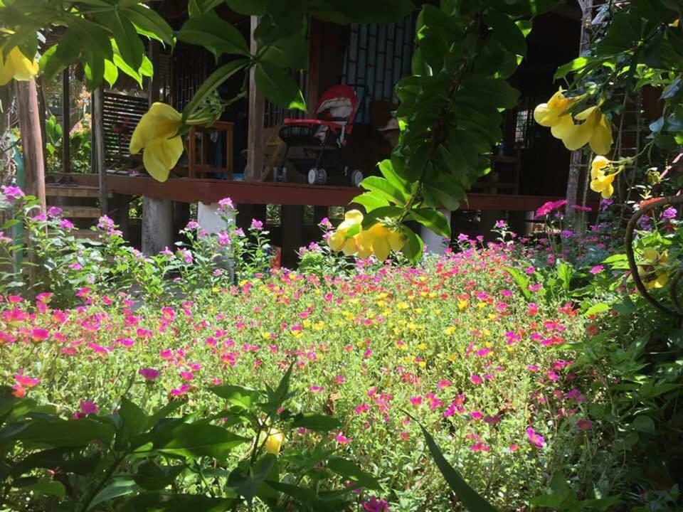 Bach Cuc Homestay Long Hai Exterior foto